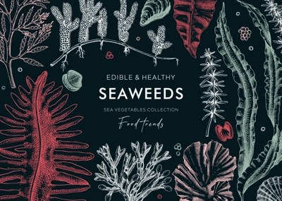 Underwater algae vector frame on chalkboard. Edible seaweed background with hand drawn sea vegetables - kelp, kombu, wakame, hijiki, Irish moss illustration. Healthy food ingredients. Japanese cuisine